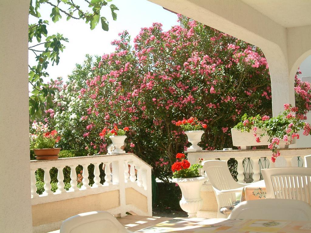 Guesthouse Mira Rab Town Exterior photo
